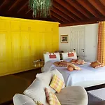 Penthouse Rosalva *